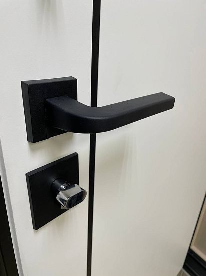 Входная дверь  